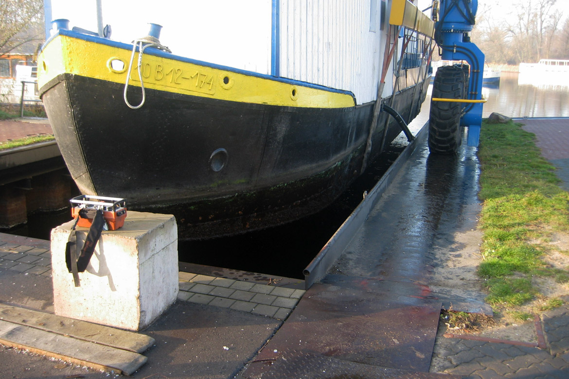 Genießen Sie unsere Fischgerichte mit Beilagen.